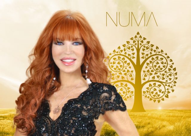 numa_palmer Numa Palmer
