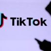 TikTok influenza la musica