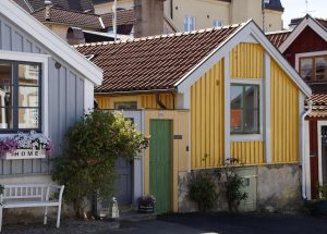 Björk e l’arte di fondere elettronica e natura
