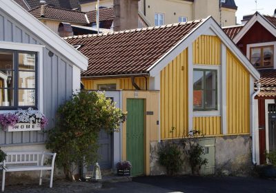 Björk e l’arte di fondere elettronica e natura